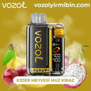 Vozol 20000 Dragon Fruit Banana Cherry