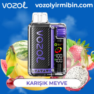 Vozol 20000 Mixed Berries